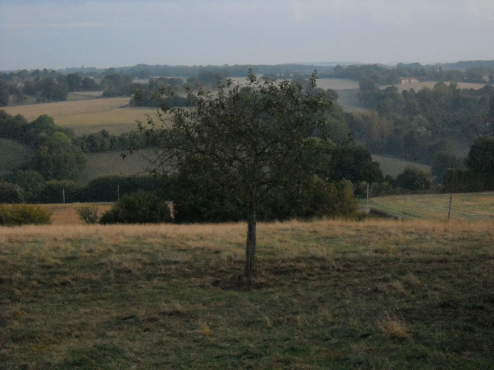 Le paysage du Perche depuis La Perrière