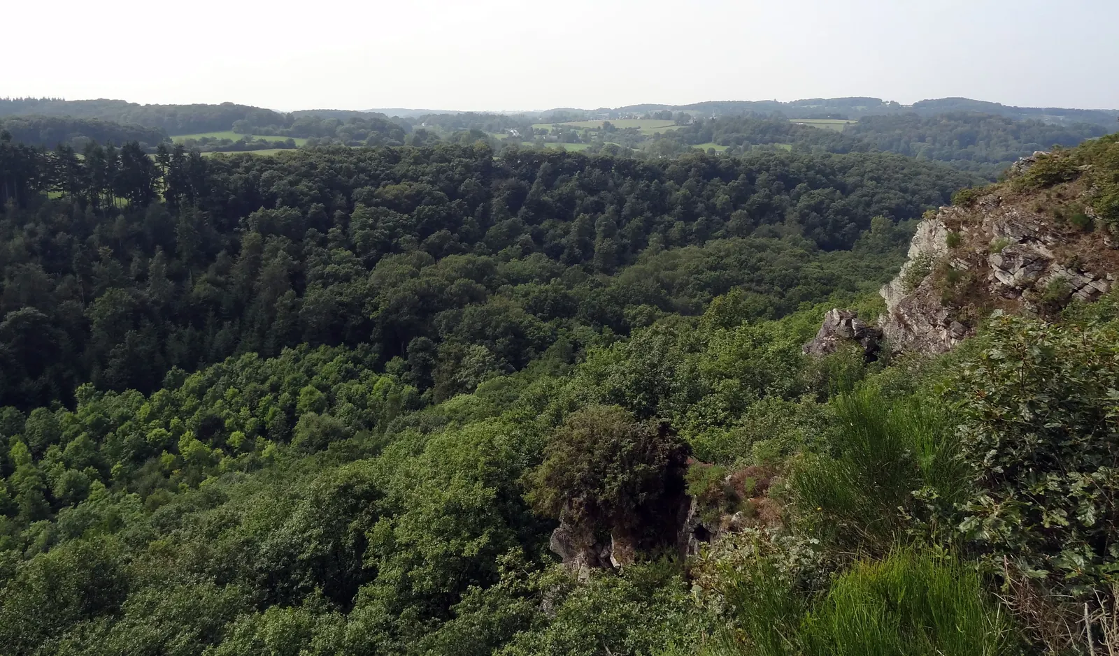 Les gorges boisées depuis le secteur de la Roche d’Oëtre
