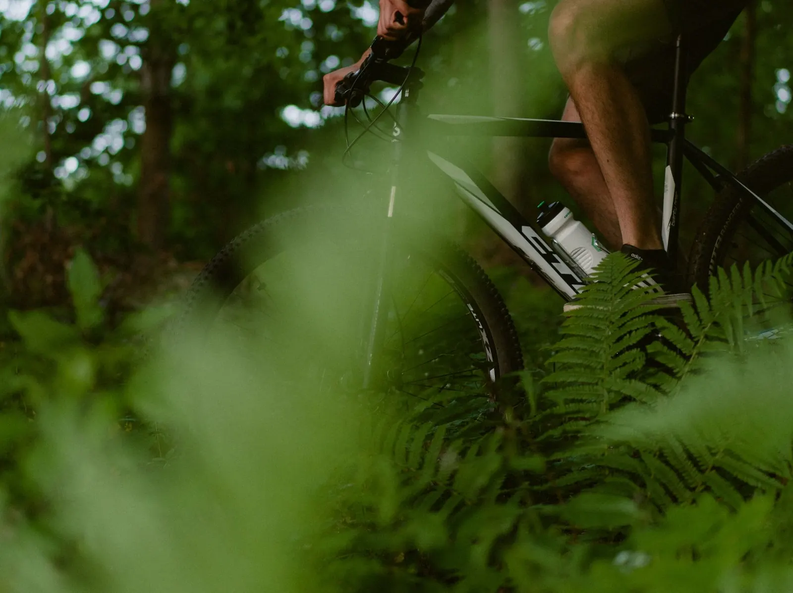 Un cycliste et son vélo sur un chemin forestier
